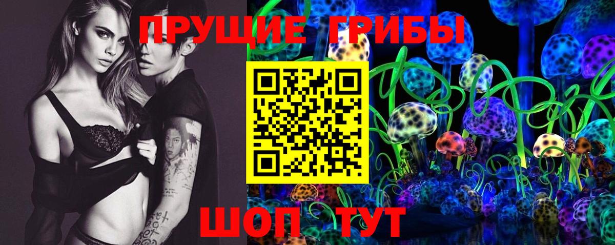 Галлюциногенные грибы прущие грибы Соль-Илецк