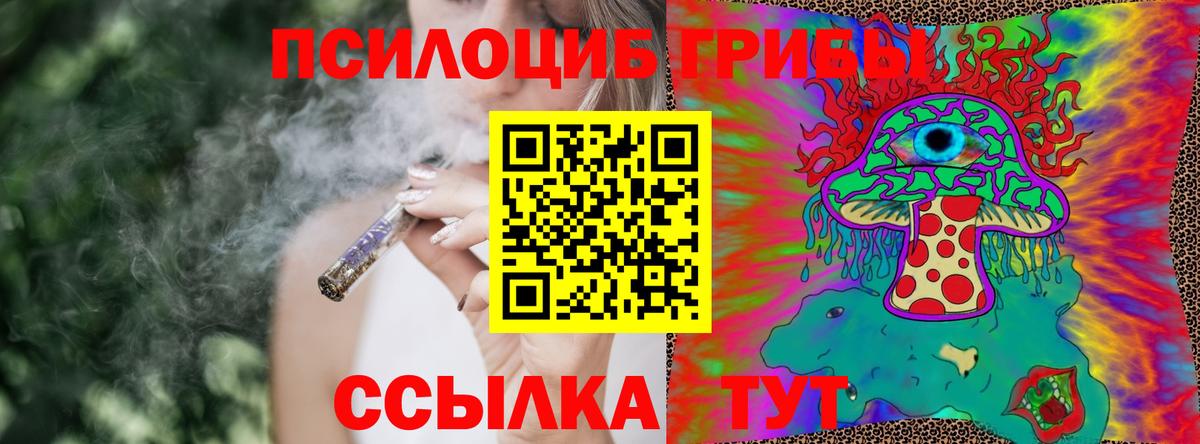 наркота  Псилоцибиновые грибы MAGIC MUSHROOMS  Вход с VPN  Соль-Илецк 